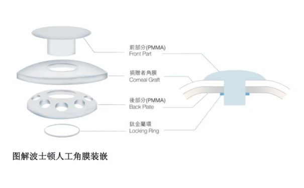 20220316630285.jpg 波士顿.jpg