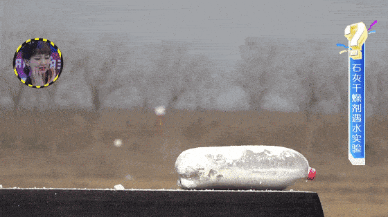 20220411420177.gif 4.11.gif